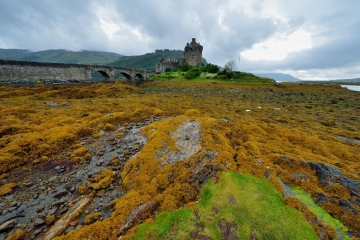 Ecosse-13_0737__OCP4668