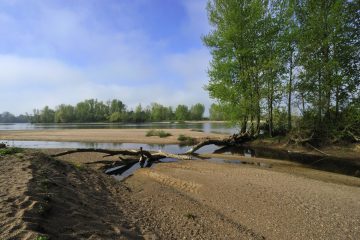 Val-Loire-RN_0000__ORN5847