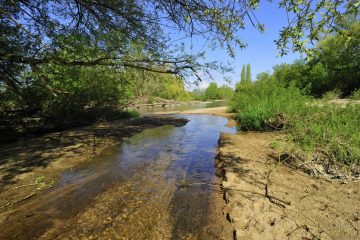 Val-Loire-RN_0023__ORN5910