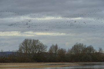 Val-Loire_03562_BOQ6381