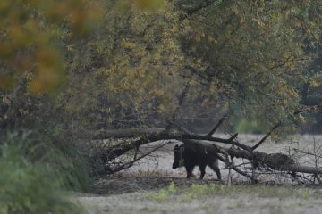 Val-Loire_05234_BLM0337