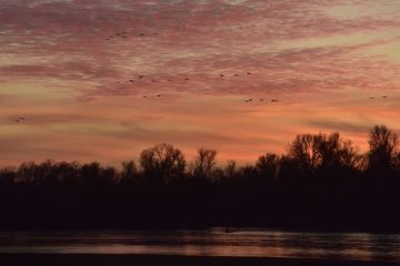 Val-Loire_05500_EMZ5466