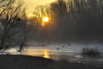 Val-Loire_0586__JAN0254