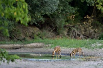 Val-Loire_2252_UHJ2489