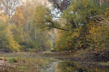 Val-Loire_2787_FRE7109