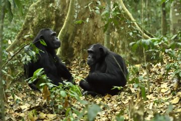 Ouganda17_0372_KPQ6043