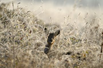 Val-Loire_05544_JPM0290