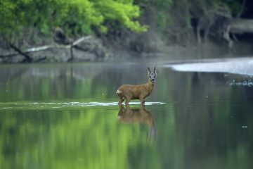 Val-Loire_07024_BLA9016