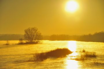 Val-Loire_0864__SAV1589