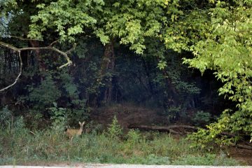 Val-Loire_09064_BLP3422