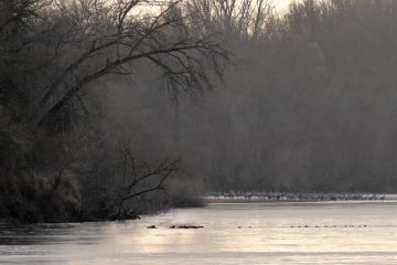 Val-Loire_09337_JAU3544