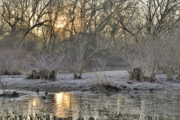 Val-Loire_09775_WEC7219