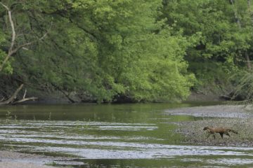 Val-Loire_10294bis_PEC9651